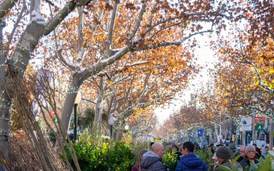 La suma de tradició, fred i neu omple el Passeig Verdaguer amb més de 200 parades a la Fira de Reis